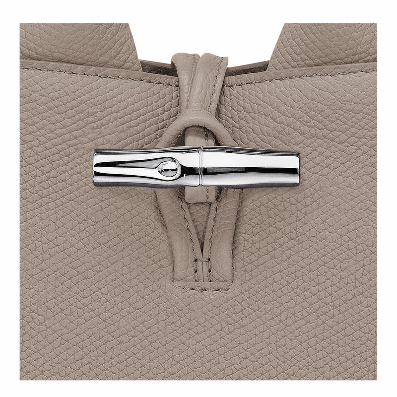 Longchamp Le Roseau XS Kadın El Çantası Gri Türkiye | 10278HFP266
