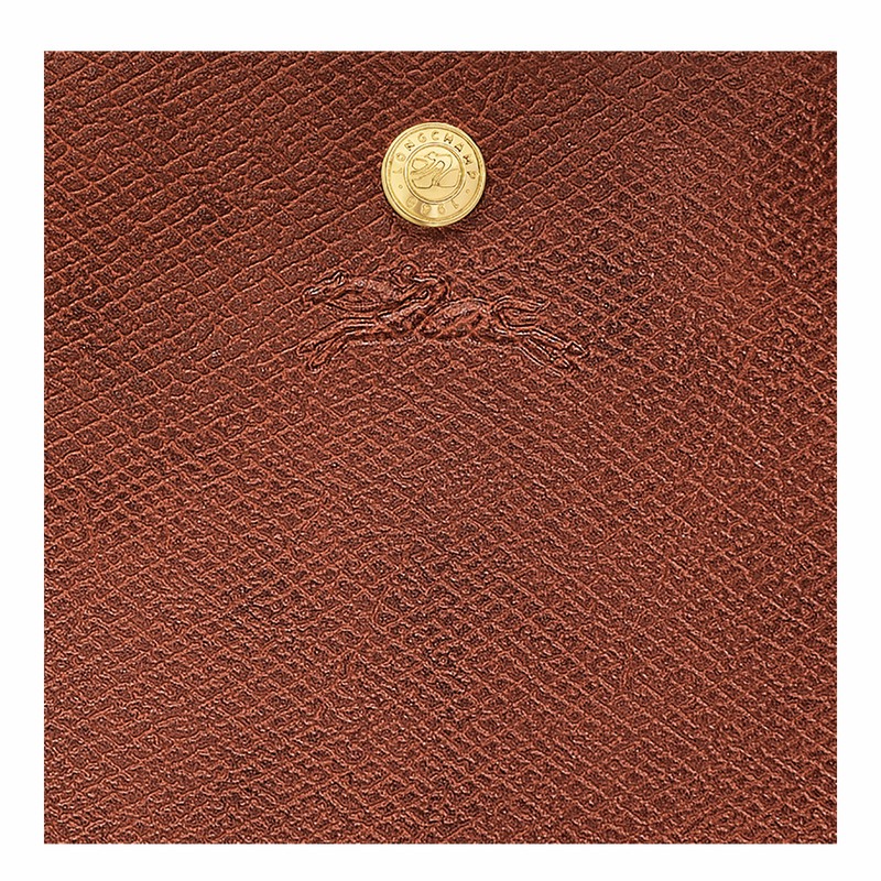Longchamp ÉPURE XL Kadın Tote Çanta Kahverengi Türkiye | 10260HYZ035